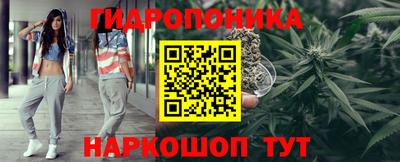 прущие грибы Мариинск