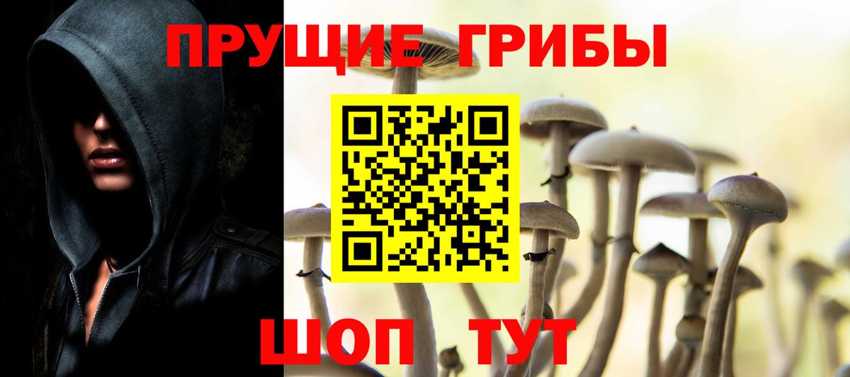 Аксай  Псилоцибиновые грибы мухоморы  Вход с VPN 
